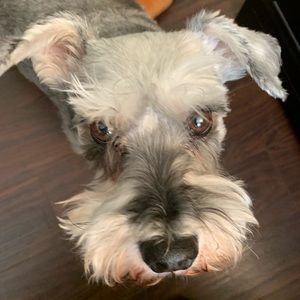 Meet your Posher, Jin